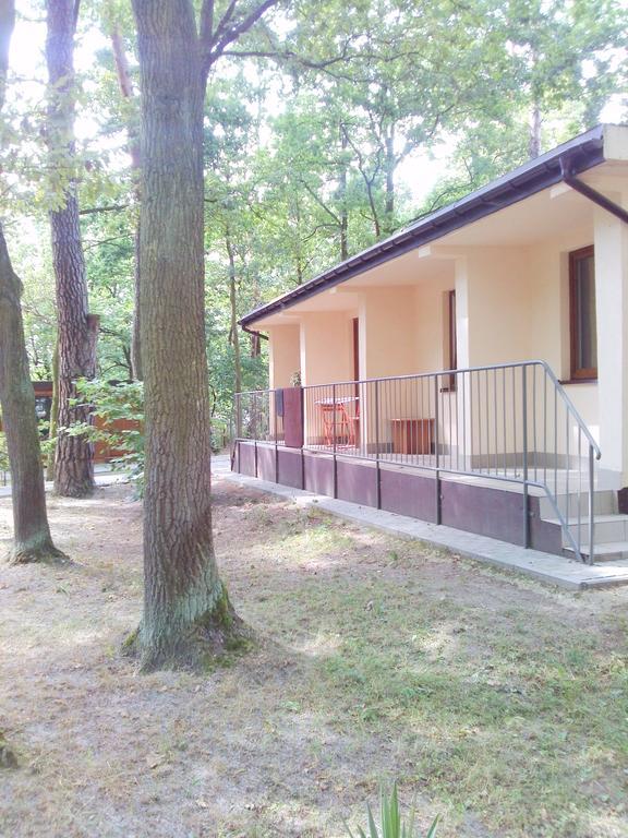 فندق لوبلينفي  Osrodek Wypoczynkowy Forest المظهر الخارجي الصورة